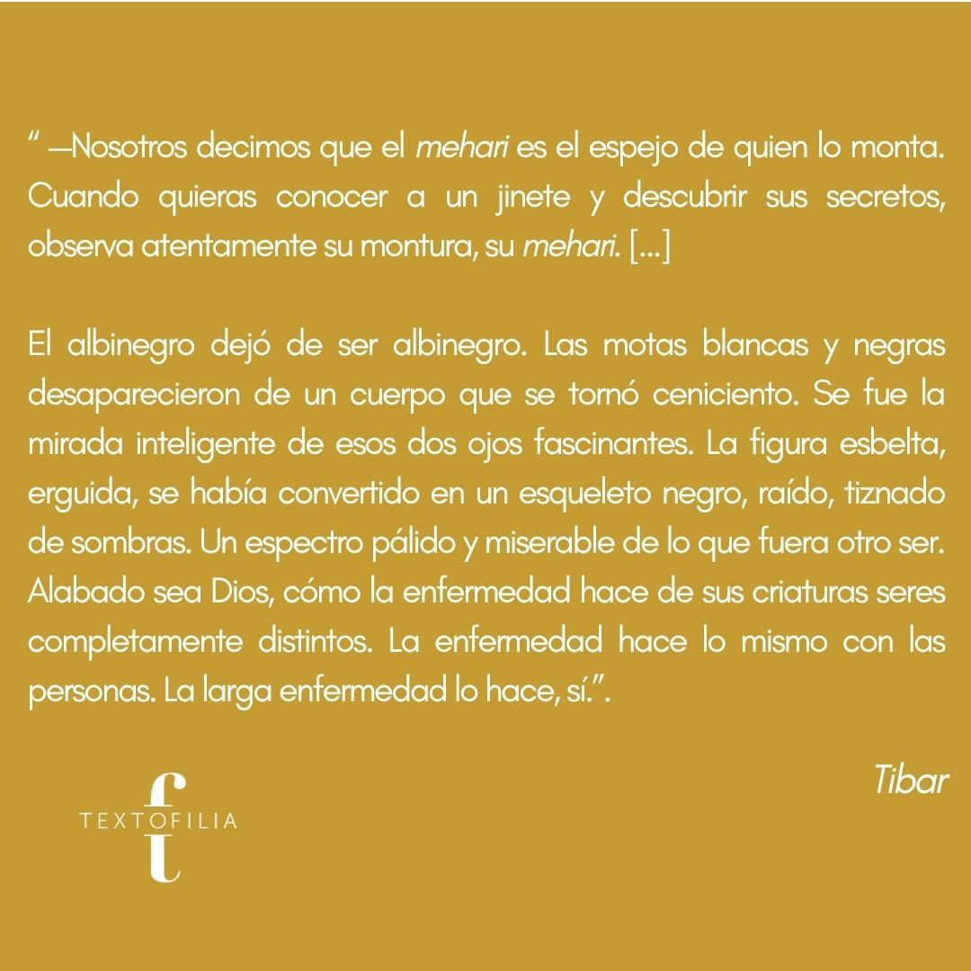 textofilia's tweet photo. Quizás uno de los escritores más importantes de todo el Medio Oriente, ¿has leído la obra de Ibrahim Al-Koni?
Traducido del árabe por Ignacio Gutiérrez de Terán.
https://t.co/zFsOe8LtBL
#Textofilia #Tibar #IbrahimAlKoni #LiteraturaÁrabe #NovelasRecomendadas https://t.co/tzEhid7SPM