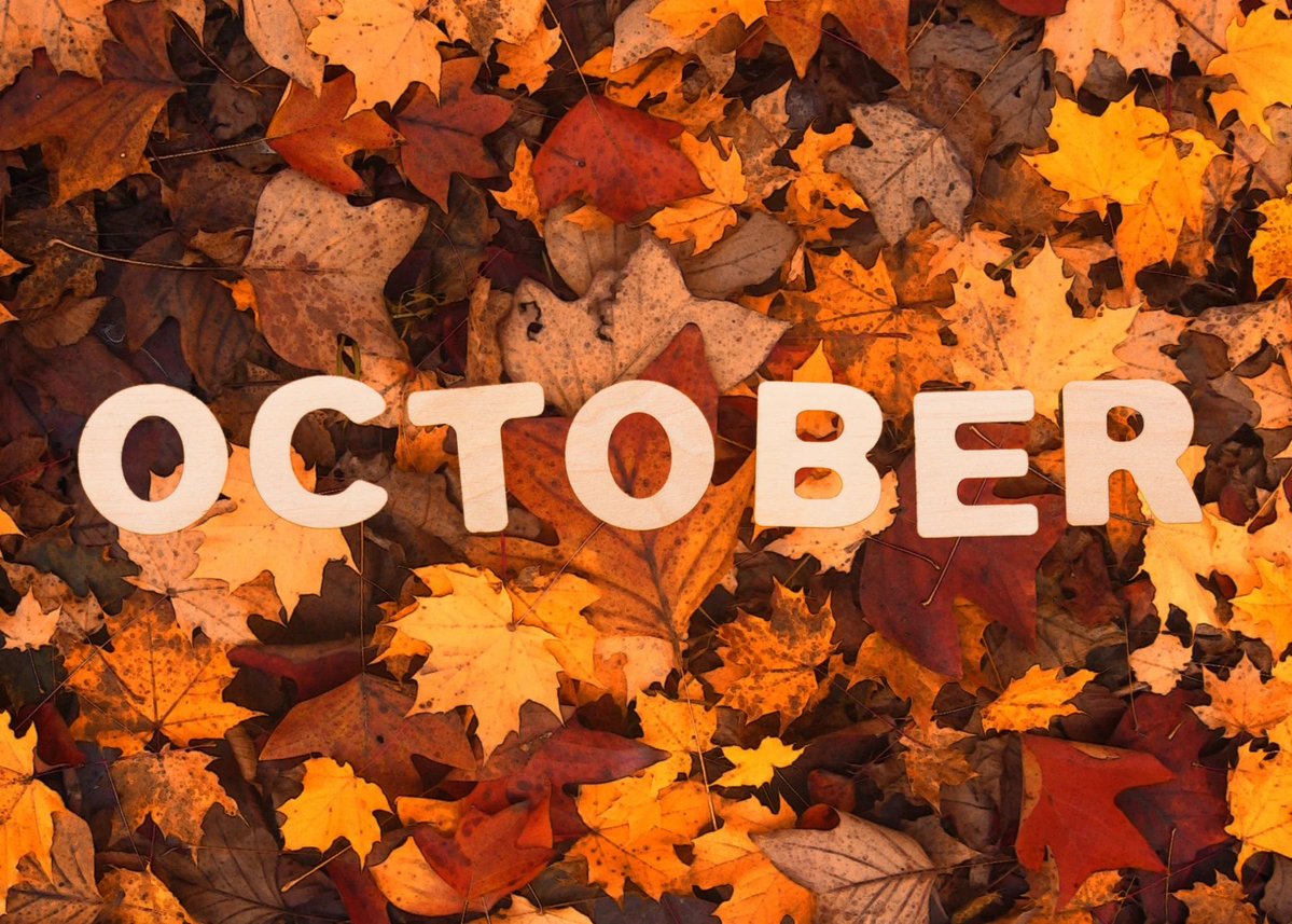 cokodive's tweet photo. 🍂 OCTOBER SEASON GIVEAWAY 🎁

- Follow @cokodive 
- RT &amp; Like
- Reply what you’d like to win! 🎃 https://t.co/KqV0j1JISE