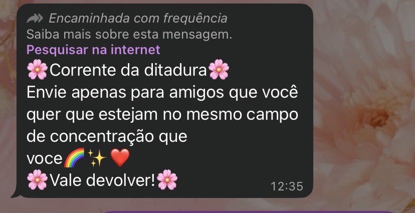 opapione's tweet photo. Realidade: a gente brigando pelo último pedaço de rato 
#Eleições2026 https://t.co/TGhLnp2H9O