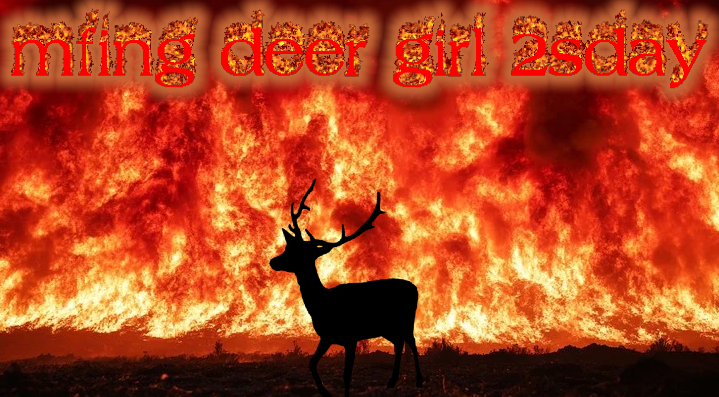 deertexting's tweet photo. happy mfing deer girl 2sday to everydeer https://t.co/FlpYEc1ope