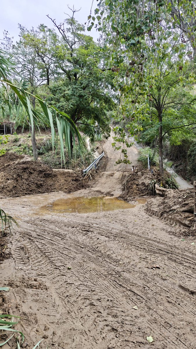 MeteoCalTort's tweet photo. Ja ens han obert el pas
Gran acumulació de fang, restes vegetals i sediments.
El traçat habitual de la riera i del vial pràcticament irreconeixibles.
La força de l'aigua ho ha arrasat tot.
🌧️🌊🚜😔
#PinedadeMar #Riuada #Temporal #Maresme #Inundacions #CalTort #Catalunya https://t.co/3pONzKxptt