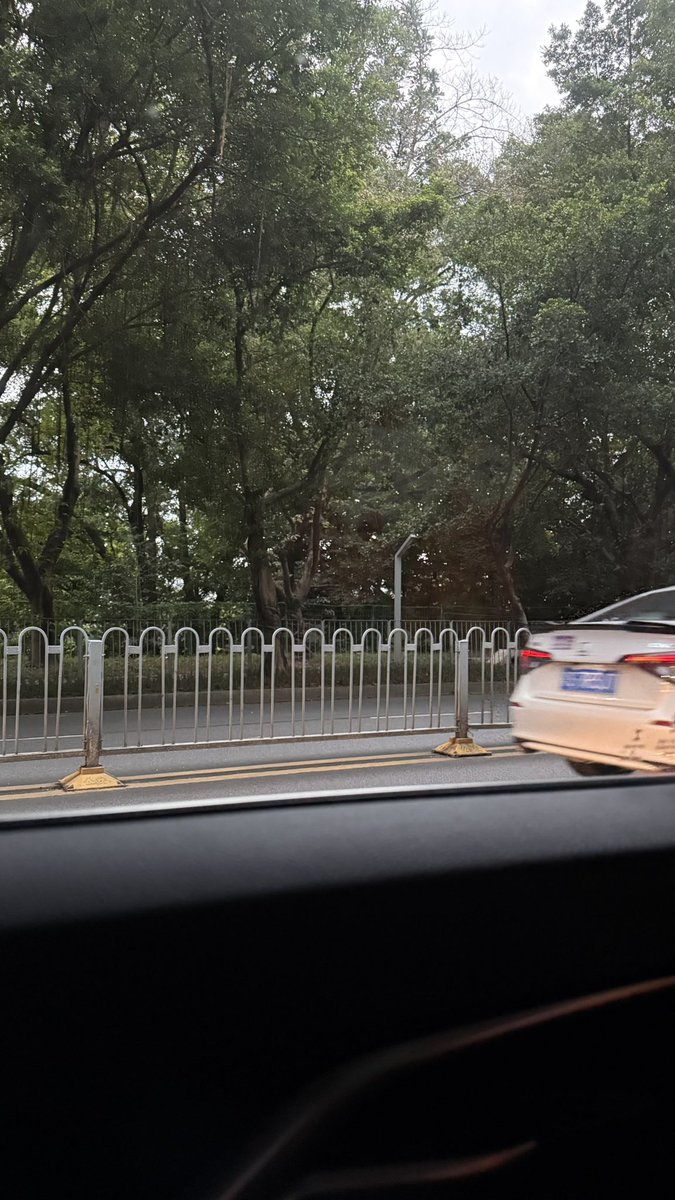Miozmum's tweet photo. 广东一降温 就有一种超强的熟悉感出来 心慌掺杂着怀念 https://t.co/MpvNqbaCs3