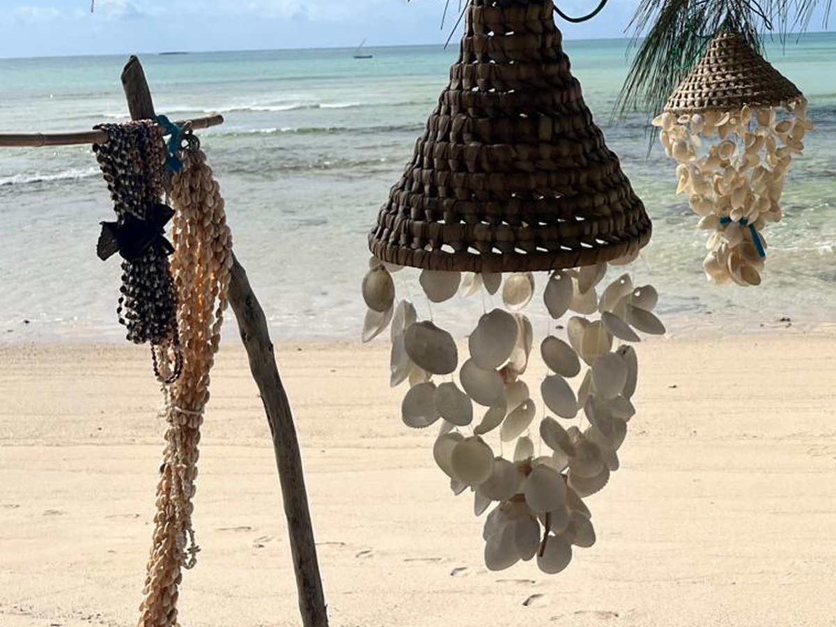CorallodgeMozam's tweet photo. Remember to take home a memory from our beautiful beach. 🐚 That way, whenever you feel stressed, you can hold it, take deep breaths, and picture yourself back at Coral Lodge.

Relaxation tip of the day. ☺️

#corallodgemozambique #beachbreak #memoriesforlife https://t.co/SBk8krn3JI