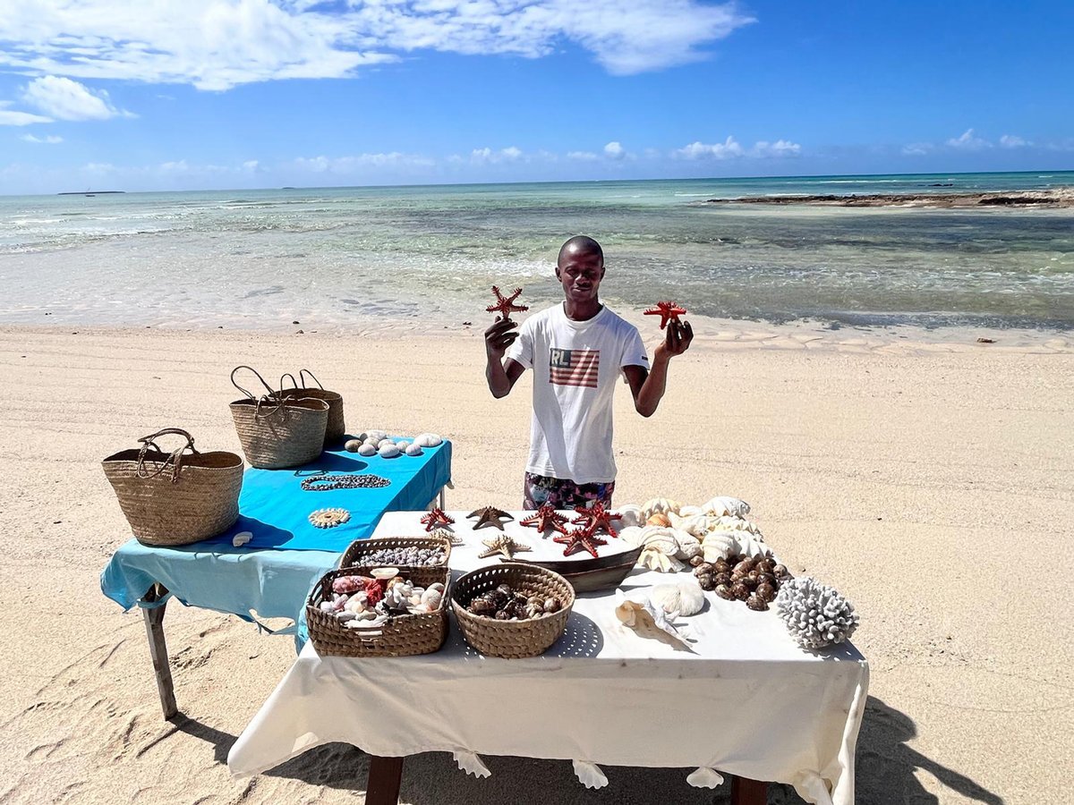 CorallodgeMozam's tweet photo. Remember to take home a memory from our beautiful beach. 🐚 That way, whenever you feel stressed, you can hold it, take deep breaths, and picture yourself back at Coral Lodge.

Relaxation tip of the day. ☺️

#corallodgemozambique #beachbreak #memoriesforlife https://t.co/SBk8krn3JI