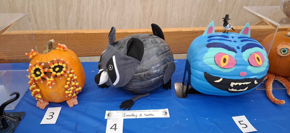 _CountyLibrary's tweet photo. 🎃 Last chance to vote on our annual Staff Pumpkin Decorating Contest at Whitmore... Everyone at #TheCountyLibrary is ready for its most important part: your votes! 👀👏

Stop by Whitmore and check out this year’s impressive pumpkins. Patrons can vote until Friday, October 23. 🏆 https://t.co/v59SdFlsSv