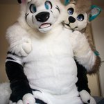 Photo by Raffie 🇳🇿 🇬🇧 🦊 🔜 @Furiffic'26 (@RaffieFox)