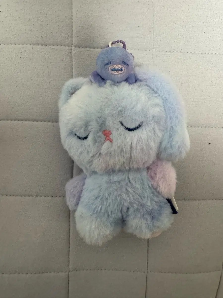chubeenn's tweet photo. ดีล / ไม่พร้อมส่ง 🧡

riize midnight mirage doll โทนยังด็อก วอนบิน

* ได้สินค้าตามรูป + การ์ด id

🧡 1,056.- รวมส่งในเกา + ส่งแอร์

ค่าส่งในไทย 45 + 5

Dm / แอด line หน้าโปรไฟล์

#ตลาดนัดน้องข้าว #ตลาดนัดriize https://t.co/09tFvt9JZ3