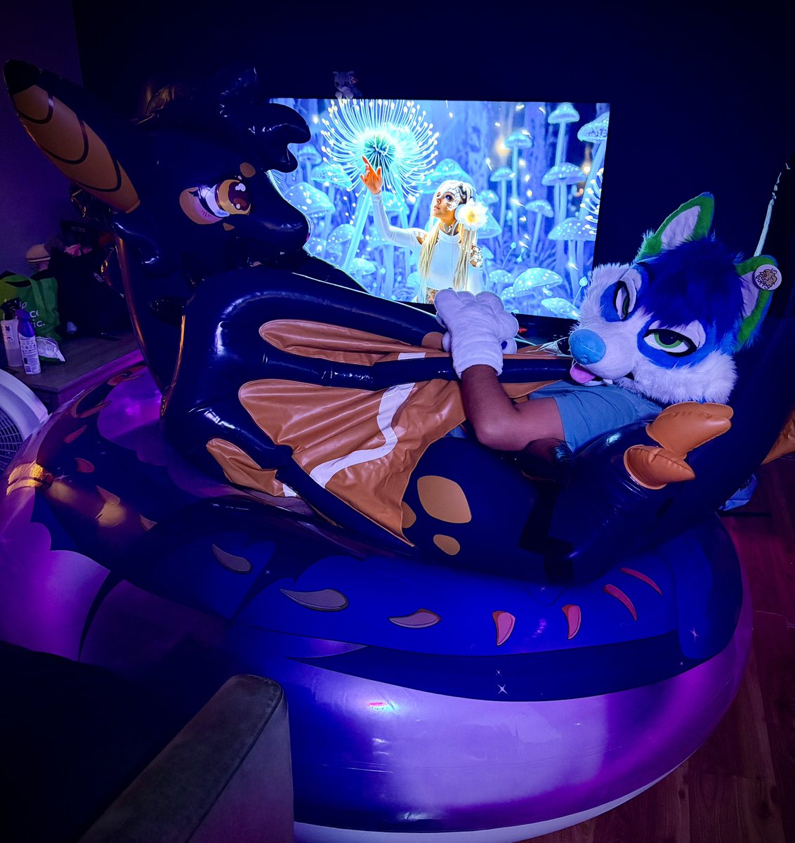 XavierHuskqueak's tweet photo. SQUEEEAK! 🧡🖤🧡🦇 Zippy’s preorder is almost over!!

If you’ve been thinking about bringing home one of these big, soft, squeaky, and cuddly bats, now’s the time! 🥰💜 The @FactoryCreature Zippy preorder officially closes October 10th!

Don’t miss your chance to give one of these adorable squeaky bats a forever home! 

Order form:
https://t.co/EhH6Uq6uL8

#Inflatable #PoolToy #Squeaky #Zippy
@PoolToyParty