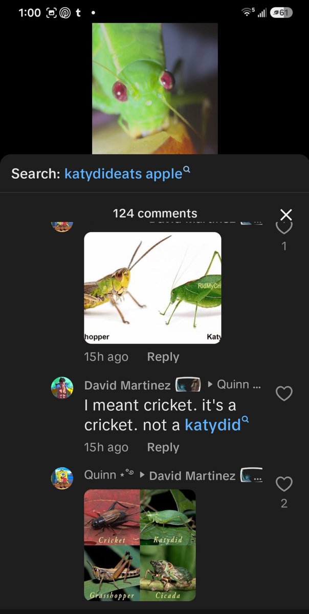 agateriver's tweet photo. funniest shit ever happening in my replies on tiktok https://t.co/agqWRZdZQe