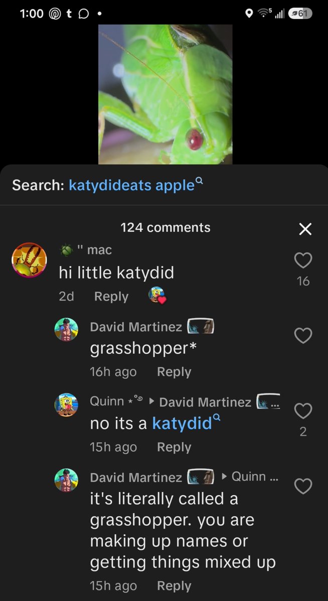 agateriver's tweet photo. funniest shit ever happening in my replies on tiktok https://t.co/agqWRZdZQe
