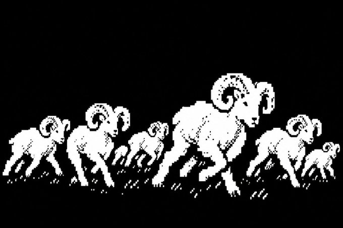 HashRammers's tweet photo. RAMs Assemble 

🐏🐏🐏 https://t.co/cocbJ9Mdlk
