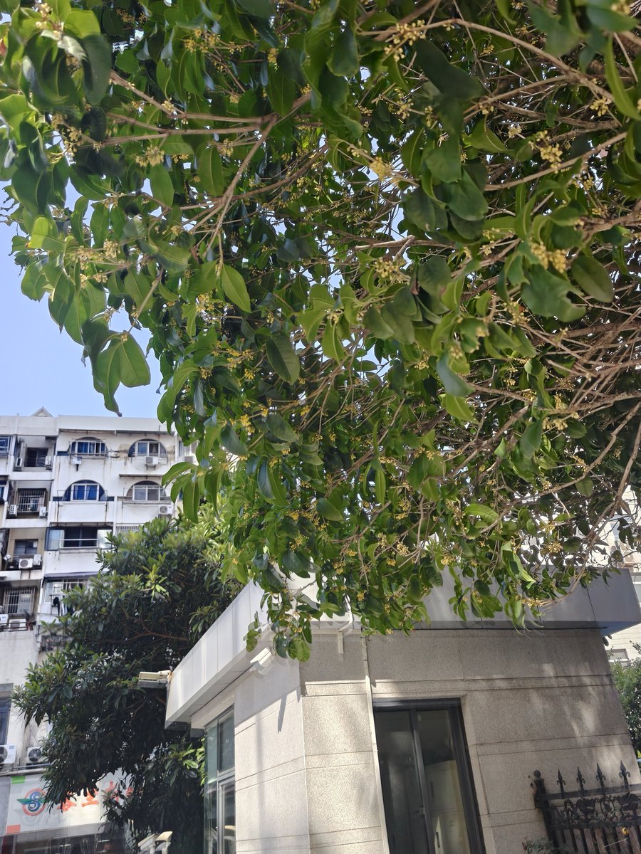 okun357428's tweet photo. 这里天气能不能慢点冷，还没有人牵我的手 https://t.co/T78V9HLgO3