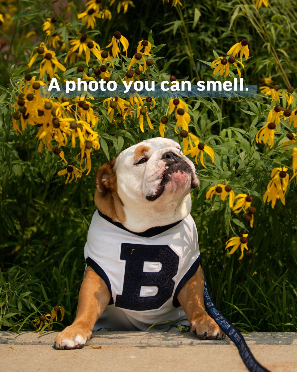 butleru's tweet photo. Photos that just make you want to be there. 💙 https://t.co/IJYwQHhiHx