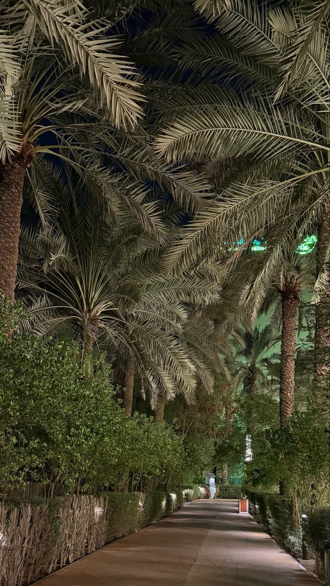 afa_f12's tweet photo. دايم يذكرني النخيل
غير الطفولة والرياض 
❤️🌴❤️ https://t.co/Z3d23dWzre