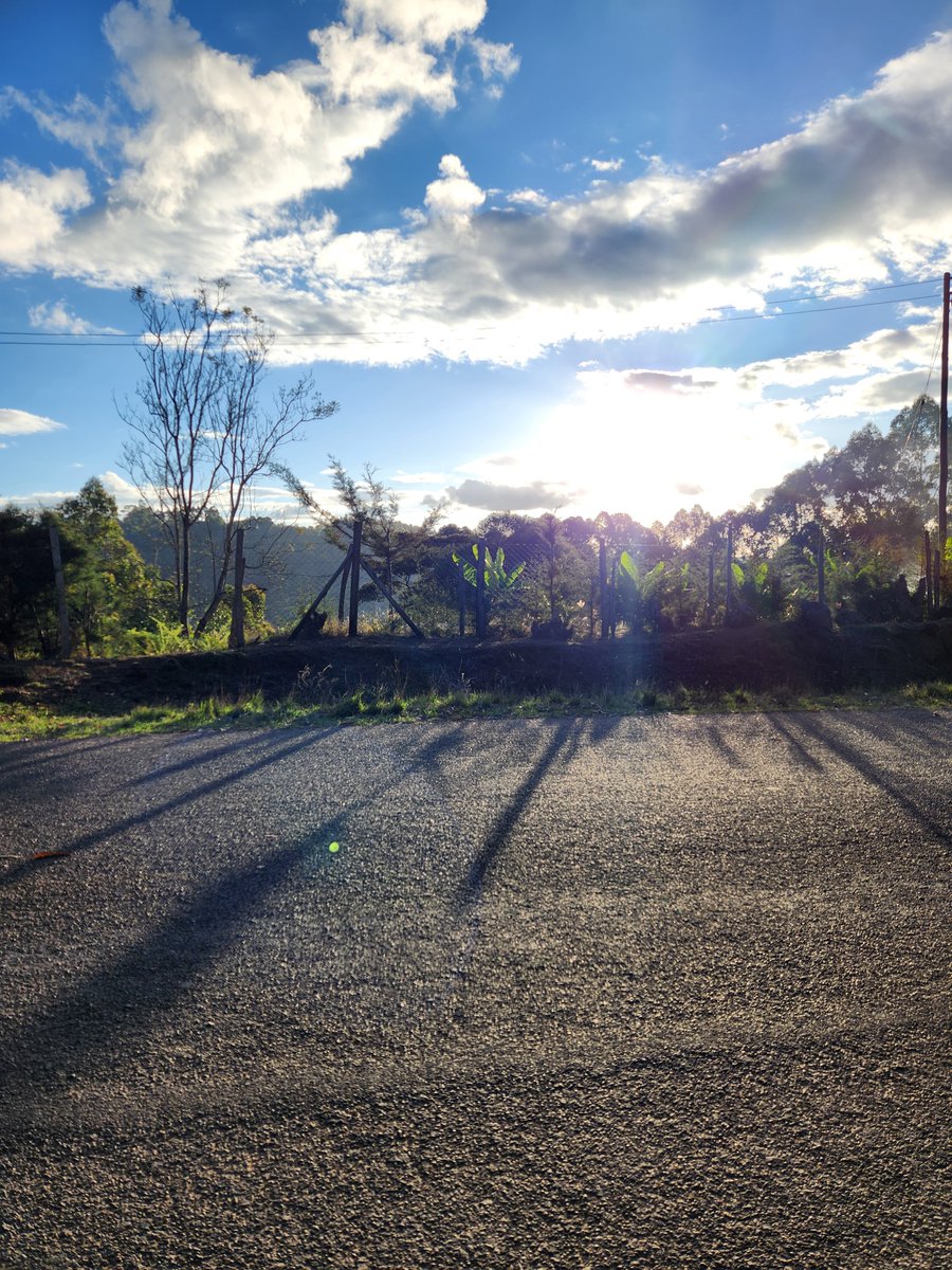mutukugabriel7's tweet photo. How clear is your camera? https://t.co/vazqovChnk