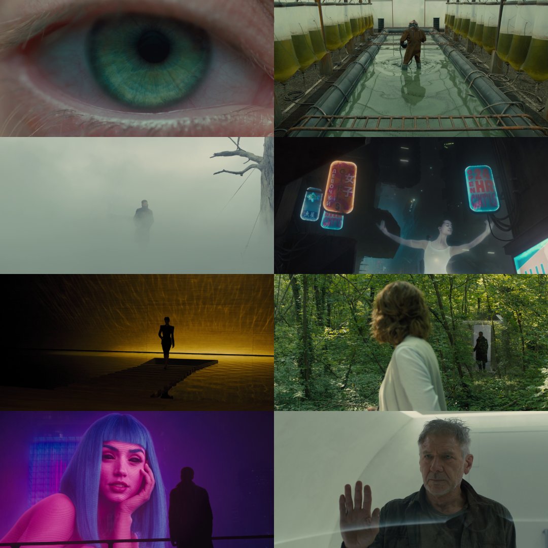 scifried's tweet photo. Blade Runner 2049 turns 9 today https://t.co/C3ZkKPGIWF