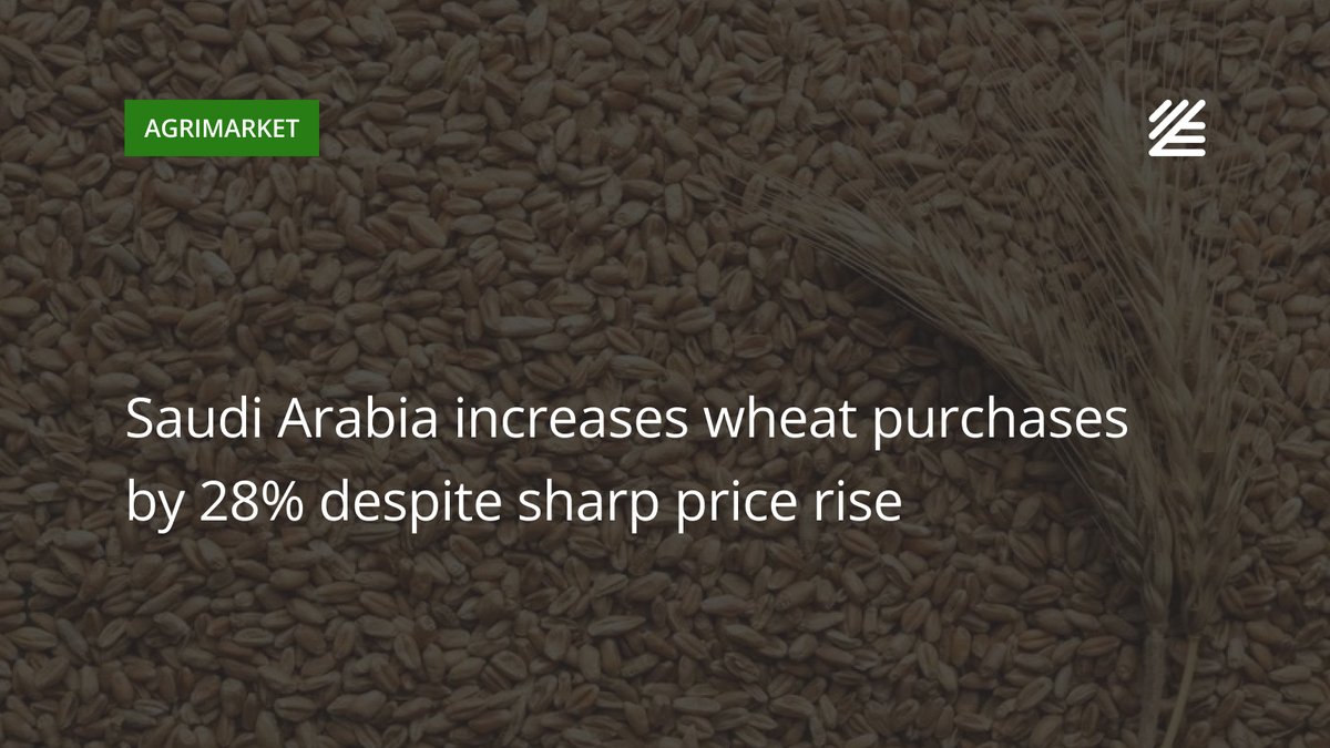 UkrAgroConsult's tweet photo. 🇸🇦 #Saudi_Arabia increases #wheat purchases by 28% despite sharp #price rise

Saudi Arabia purchased about 683 thsd tons of 12.5% protein wheat in an international tender, 28% above the initially announced volume of 535 thsd tons. 

Read more 👉 https://t.co/HD9cs1nzgc https://t.co/pC4mcrfqV3