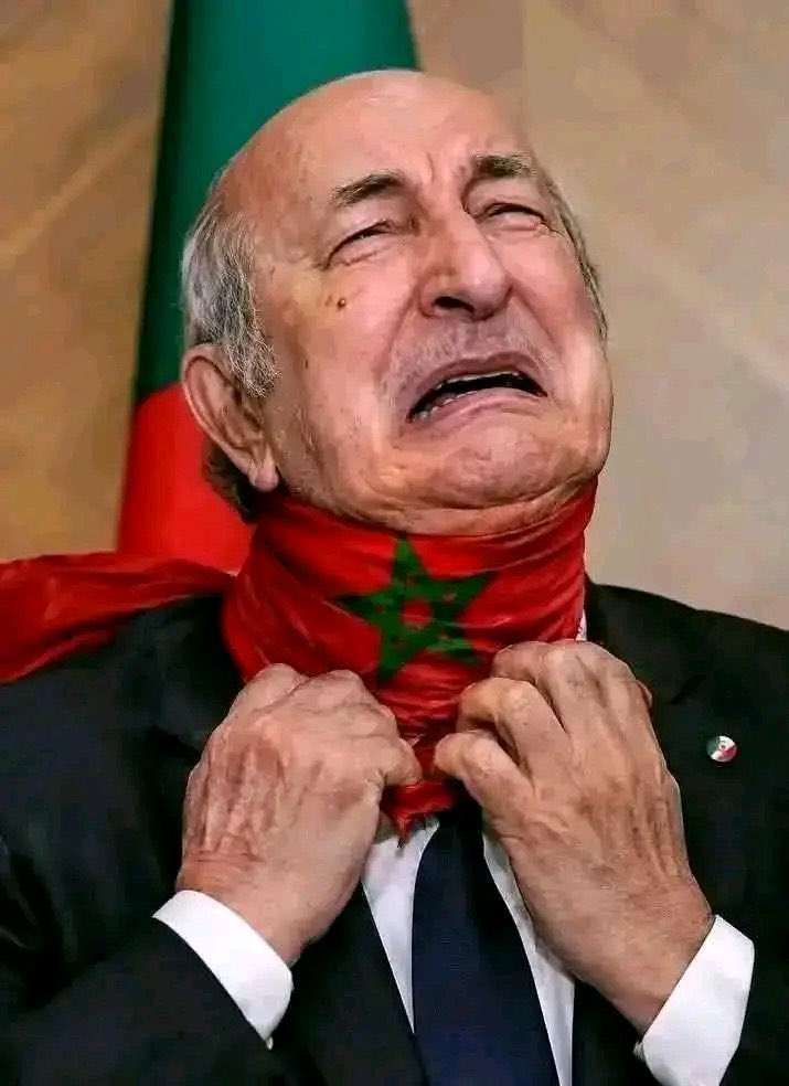 MBNSAID1's tweet photo. @algatedz 🤮🤮🇩🇿🇩🇿🤮🤮🇩🇿🇩🇿🤮🇩🇿 https://t.co/EZHVmfM3ic