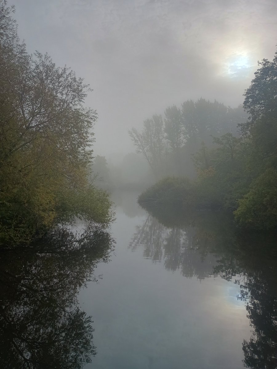 Lisabanksmann's tweet photo. Actually felt like autumn this morning https://t.co/22BUfxgy3d