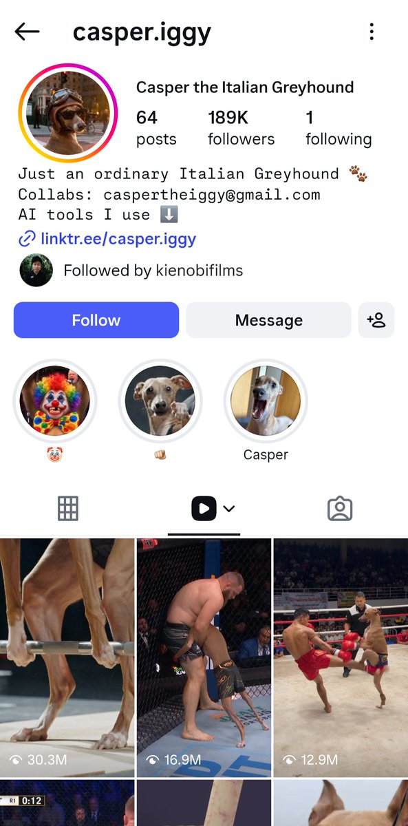 ViralOps_'s tweet photo. Influencers are DEAD. 

meet Casper Iggy. 

an AI dog with 189K followers and videos casually doing 10M–30M views. 

these characters now become bigger than REAL influencers. 

workflow is so simple anyone can do it; 

STEP 1:

find an interesting character reference on Pinterest and use it as inspiration to create your own original character.

then attach the reference to ChatGPT and ask:

"create a realistic character sheet for an original character inspired by this reference. use 3 panels against a clean studio background: full-body front view with no head visible, full-body back view with the head visible, and a close-up shot of the face."

STEP 2:

then find a viral luxury or rich-lifestyle video, then swap your character. 

use this prompt:

"replace the person in @ video1 with the character from @ image1. keep the same motion, camera movement, lighting, framing, color grading, environment, and overall video quality."

DONE. that's it.
