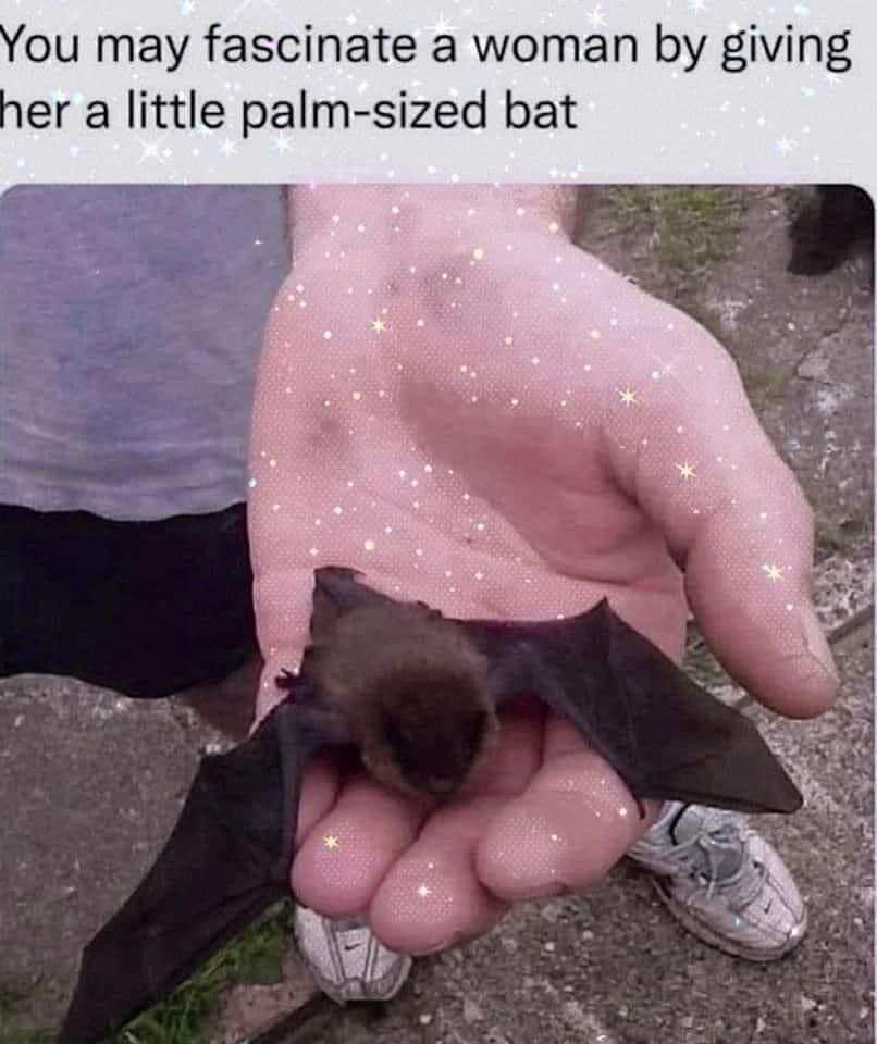 battwting's tweet photo. https://t.co/IYYen2PJRE