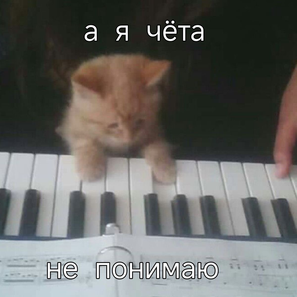 Bylert25's tweet photo. А что тут делать надо? Хе-хе.. https://t.co/JgryPeqvu4