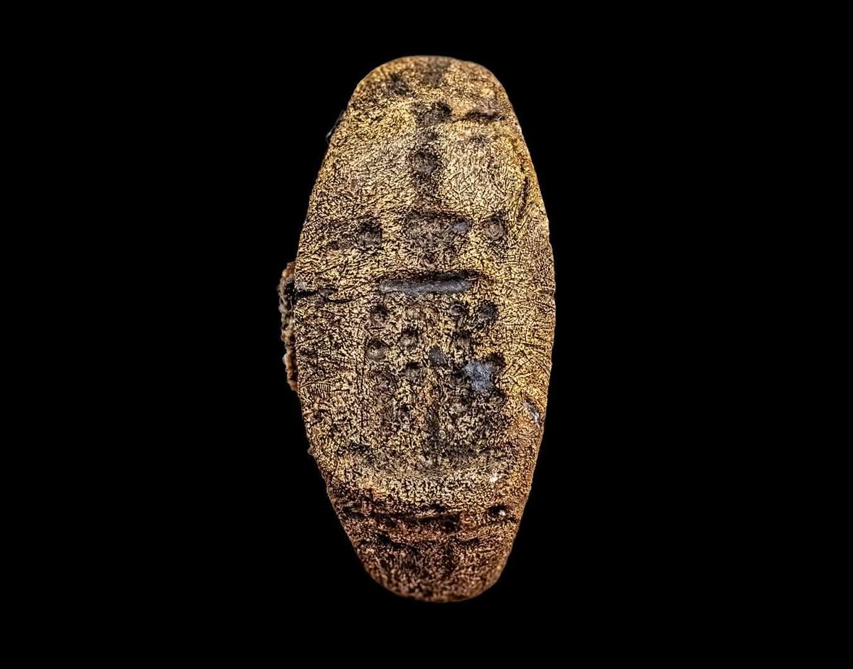 CDorado75's tweet photo. Un pequeño anillo de sello de bronce que, a la espera de su datación y estudio, nos devuelve la imagen de una de las grandes maravillas de la antigüedad.
📷 Goddio / Hilti Foundation
Espero que este descubrimiento os haya fascinado tanto como a mí. ¡Gracias por leerme! https://t.co/7fcfQoAZEe