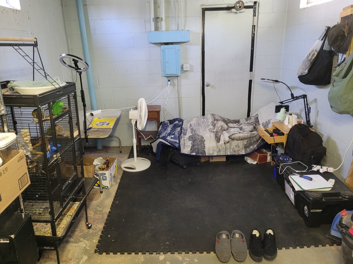 Grifspeaks's tweet photo. A sneak peak at shack in the woods. Simple life, simple problems. https://t.co/EnqVJ7E3iy