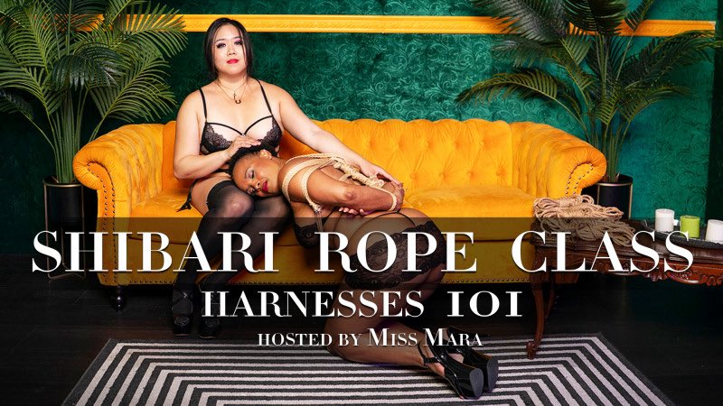 MaraDomina's tweet photo. Shibari Harness Workshop - Halloween Edition 10/12 7:30 - 9PM 

https://t.co/fWPGDouWi5 https://t.co/kKQHYs61ZG