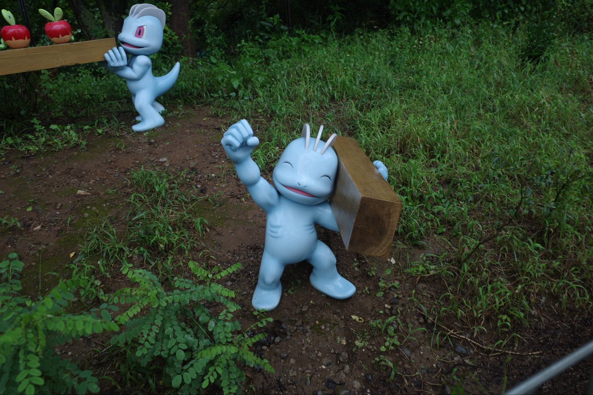pipi285012's tweet photo. 過去ピク お気に入りの写真🎂
#ポケパークカントー https://t.co/u1bRtwprk6