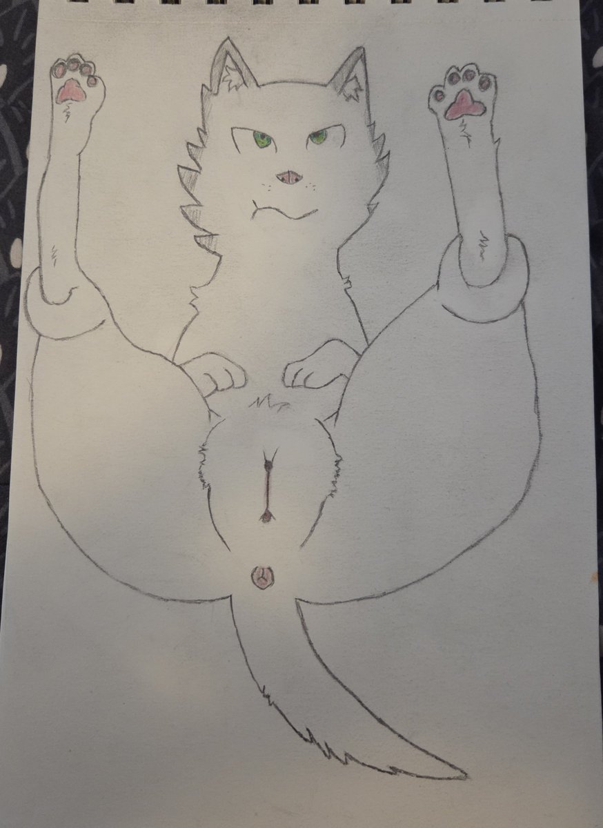 WZexal's tweet photo. I tried to draw a cat 
do you recognize it?

I'm not very good at drawing btw UnU

#fighterfelines https://t.co/PVH83c7iQW