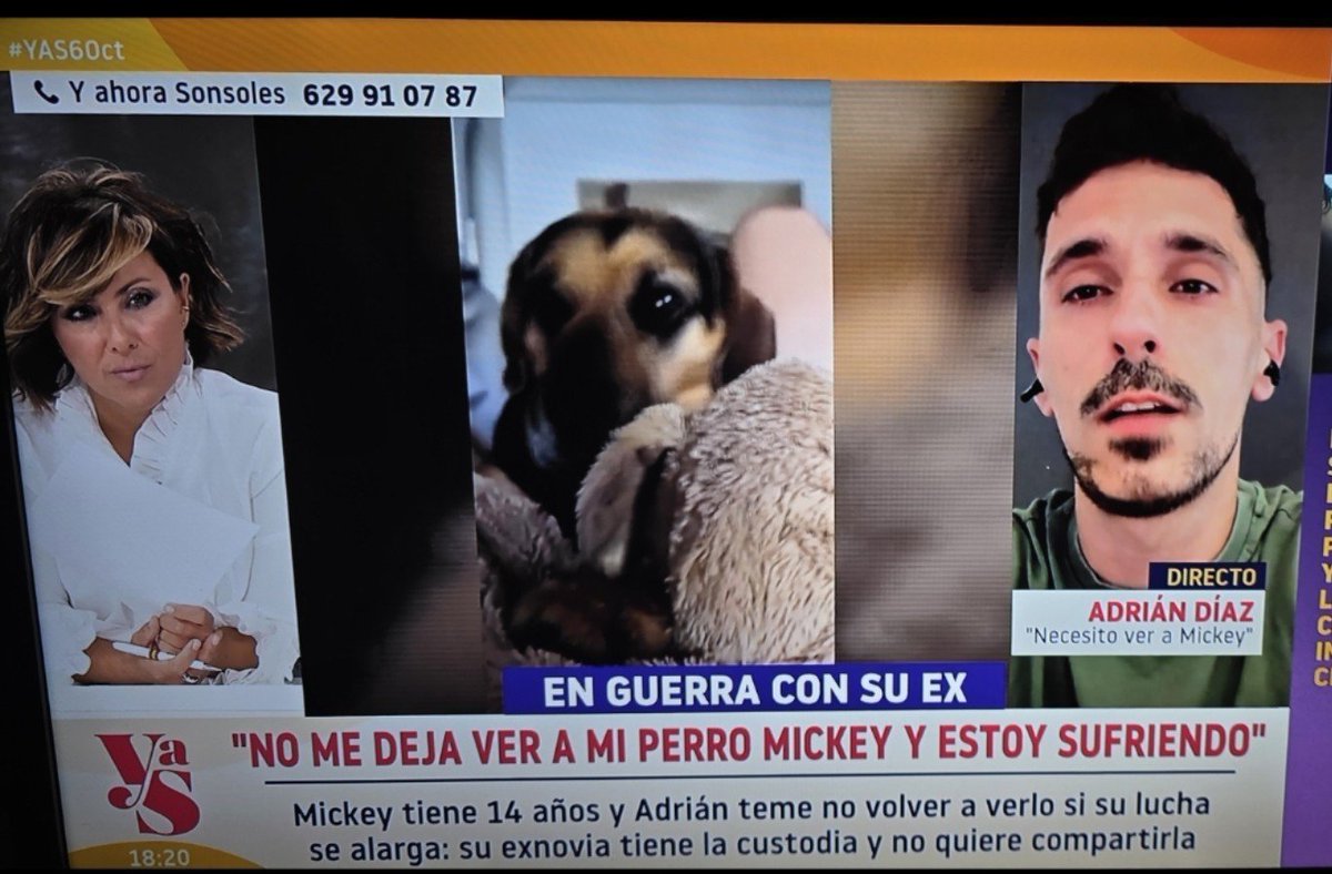 keypystar's tweet photo. No es justo que Adrián no pueda ver a su perro por la MALA LECHE de su Ex #Exnovia #YAS6Oct
Porque negar EL AMOR no lo entiendo porfavor #España #animales https://t.co/72heVKtlvu