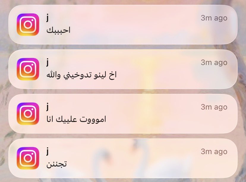 ilvu_ma17's tweet photo. مبدئيًا هيك تعشقني https://t.co/3ohvG3X6ur