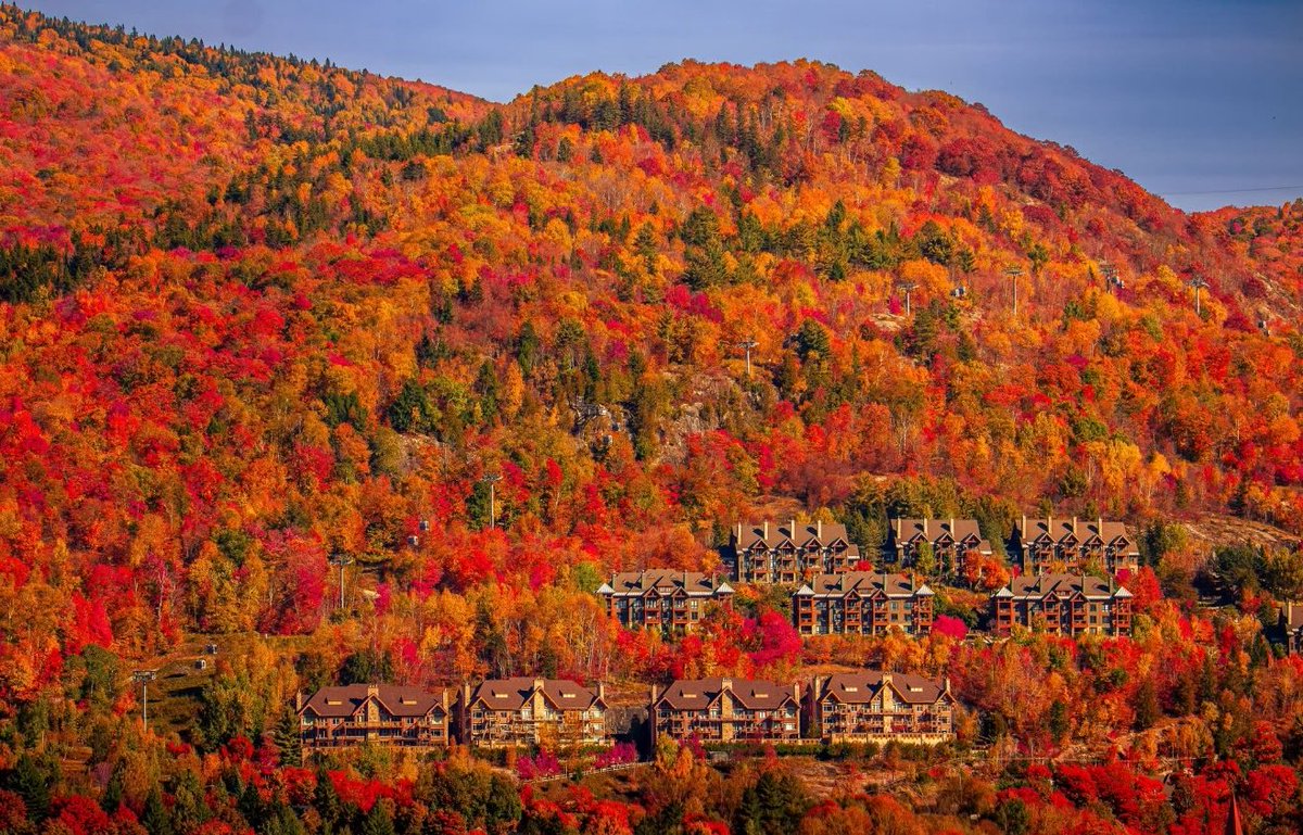MadelnCanada's tweet photo. The colours of autumn in Mont Tremblant, Québec 🍂🍁 https://t.co/ey5JDl6Rbd