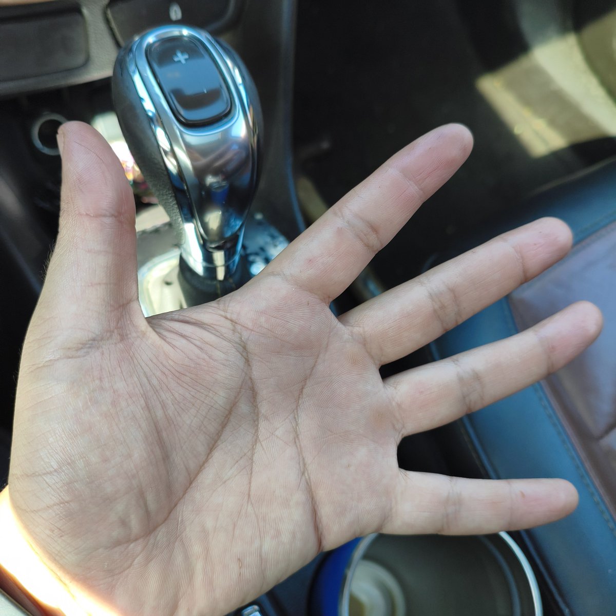 yozzFlores's tweet photo. No compre guantes, tengo las manos todas desmadradas por las espinas
Pero también tenía que terminarlo ayer para hoy poder hacer todas las salidas, teniendo todo preparado �� https://t.co/p5vNVOS5qV