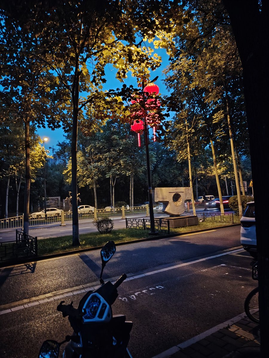 frmhasibuan's tweet photo. Neon dog barks with wires connecting the street lights at dusk, such a cool sight！ https://t.co/7S7d4S5mue