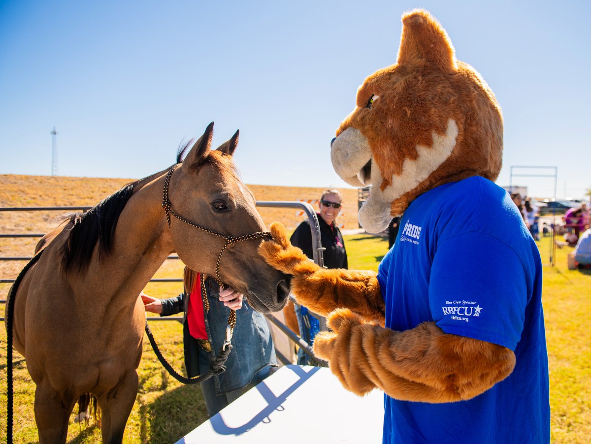 collincollege's tweet photo. Celebrate fall with us at Blooming Harvest! Join us at the Collin College Farmersville Campus on Oct. 14 for food trucks, bounce houses, a corn maze, petting zoo, giveaways, and more. Bring the family and come see all our campus has to offer!

Learn more: https://t.co/NEQZPGjcYz https://t.co/nqkCKpR4Ss