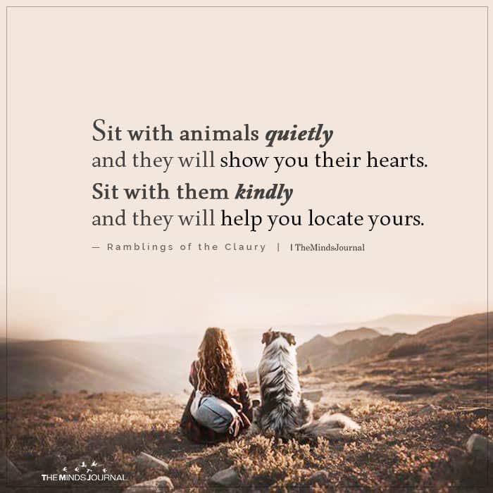 ShadowDogDesign's tweet photo. Sit with #animals quietly and they will show you their #hearts. Sit with them kindly and they will help you locate yours.
#Dogs #Dog #BestFriend #GoodDog #FaithfulFriend #LoveDogs #DogsAreLove https://t.co/pJ1rcxt8k5