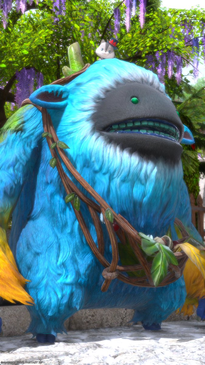 hayadosu's tweet photo. 死者宮1~10層を4回爆速周回でした。
地雷最多王です。
#FF14 #FF14SS https://t.co/Sh0jOEgAZa
