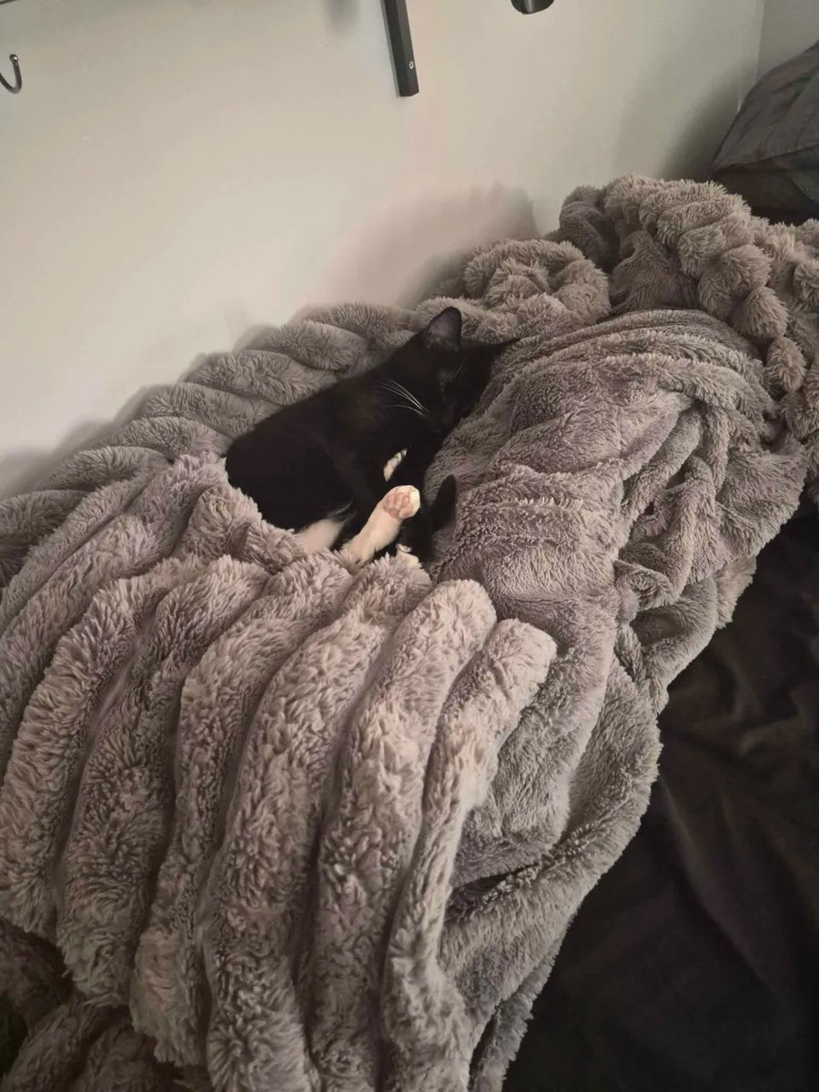 MRKrinkels's tweet photo. she needs to get a job. https://t.co/tVAH2taO0U