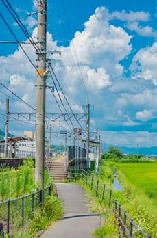 mangqutu's tweet photo. 『フィガロの結婚』って、『祝福の鐘の音は、桜色の風と共に』のED曲『桜色エンゲージ』のギターソロの前に入ってるフレーズの原曲だよな。
劇場版アマデウスさんなら主題歌を書かせろとか言って何世紀にも残る名曲を作りそう。 https://t.co/mkdThryUGh