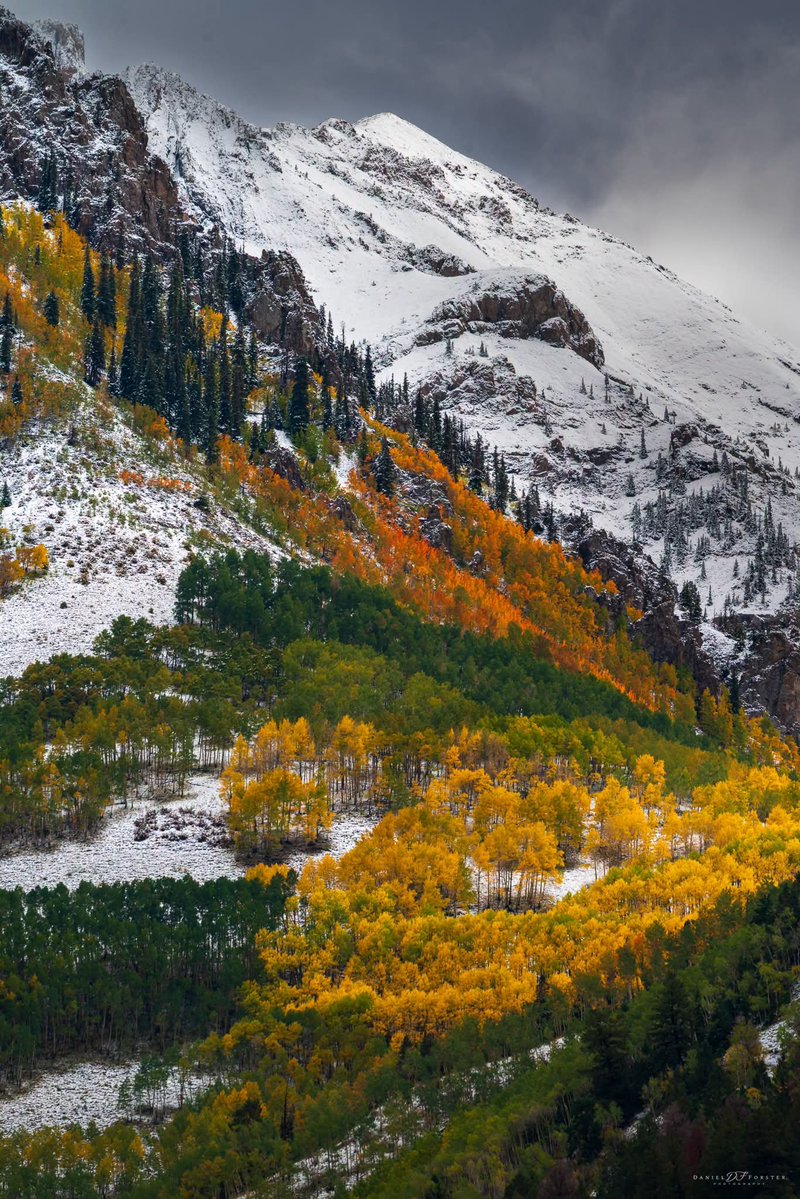 DNatives67667's tweet photo. Autumn in Colorado 😲🍂 https://t.co/KjNO0yUaH3