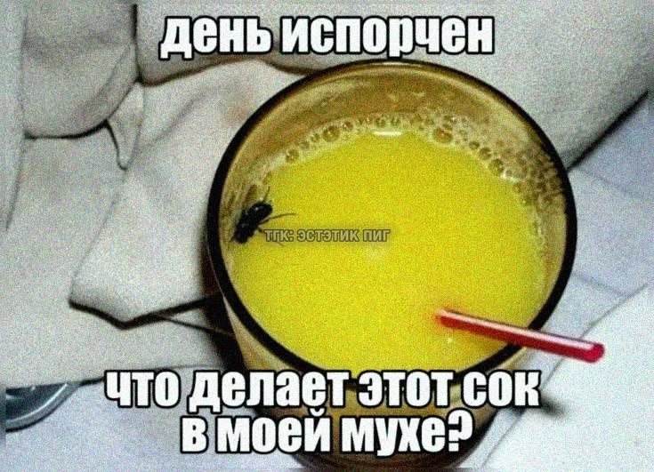 una_rar's tweet photo. https://t.co/MOmoMCpKve