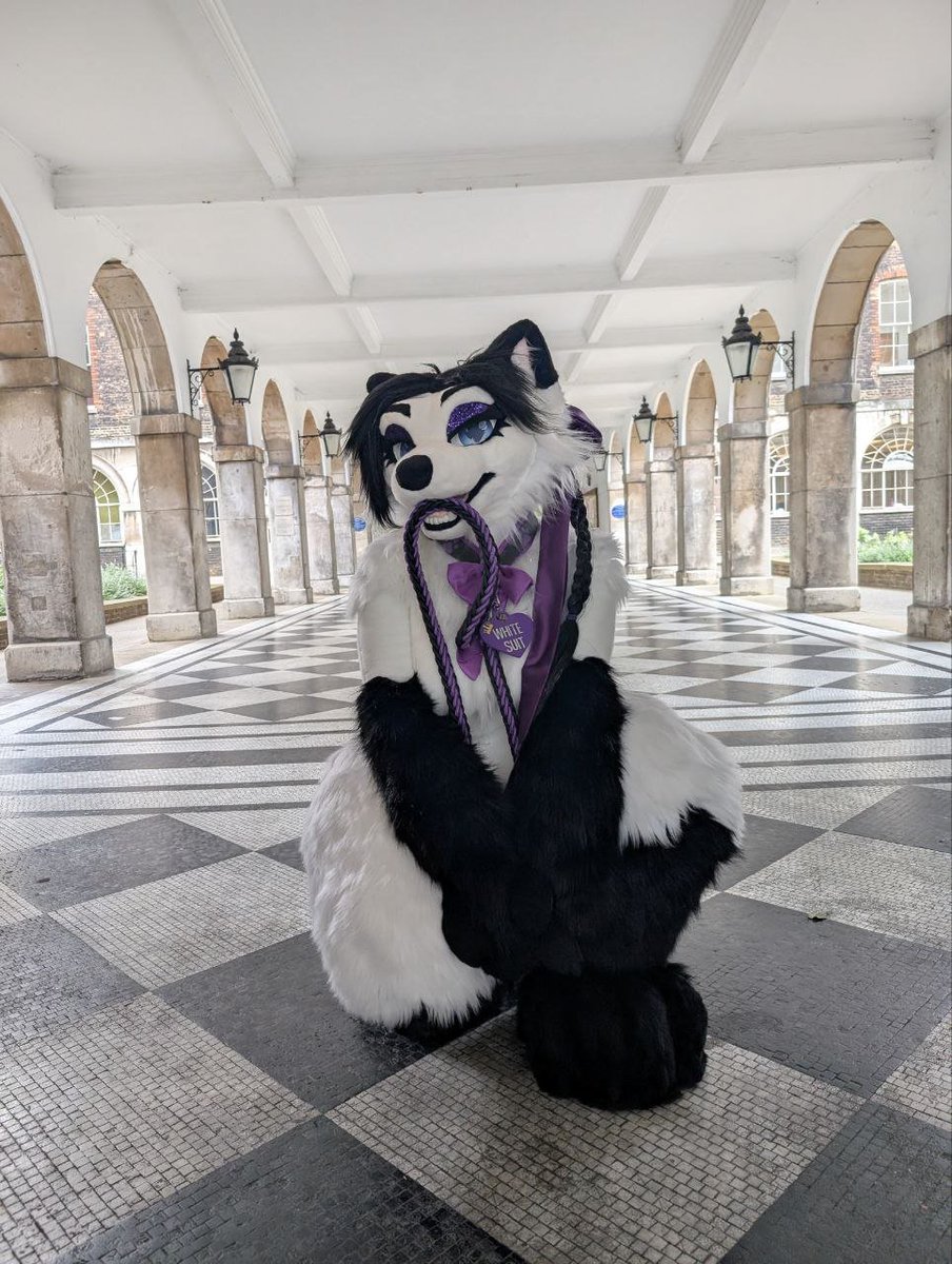 Foxyvix1's tweet photo. Puppy girl needs walkies 💜 https://t.co/AKR1eMSVx9