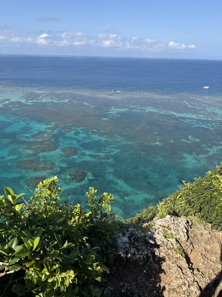 YujiHorii's tweet photo. そういえば先日、宮古島のレーベの村にいってきました。ドラクエ3にドハマりして、手作りで作った村だそうですが、今年で19年になるそうです。写真は、フルムーンのイベント。すごい熱気でしたよ。参加した皆さんが、自分の人生の主人公だと実感できた夜でした。 https://t.co/304nPl2vNN