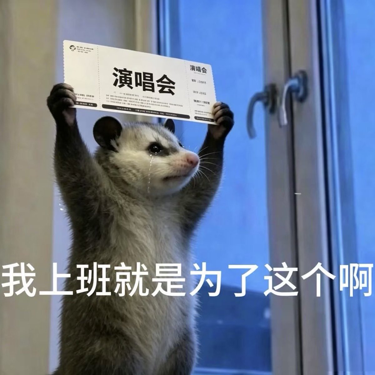 Cooki7e_'s tweet photo. 才10月 今年还有很多演唱会可以看 😌 https://t.co/p6Xf9wW7jV