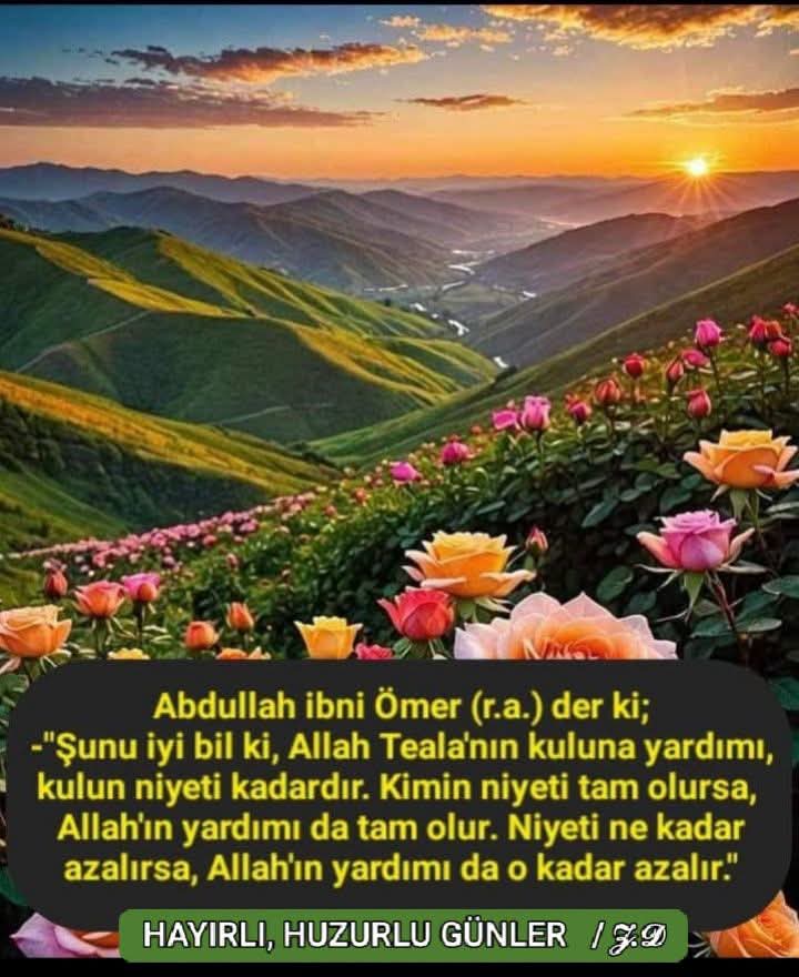 Yapar2Ensari's tweet photo. https://t.co/3bLeyP5hs6