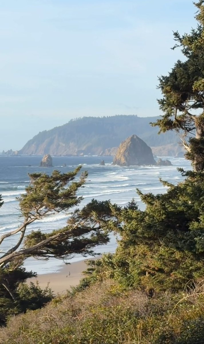 GoDucksnet's tweet photo. Just a normal parking lot on HWY 101
#BestCoast https://t.co/gQfOix2AwF
