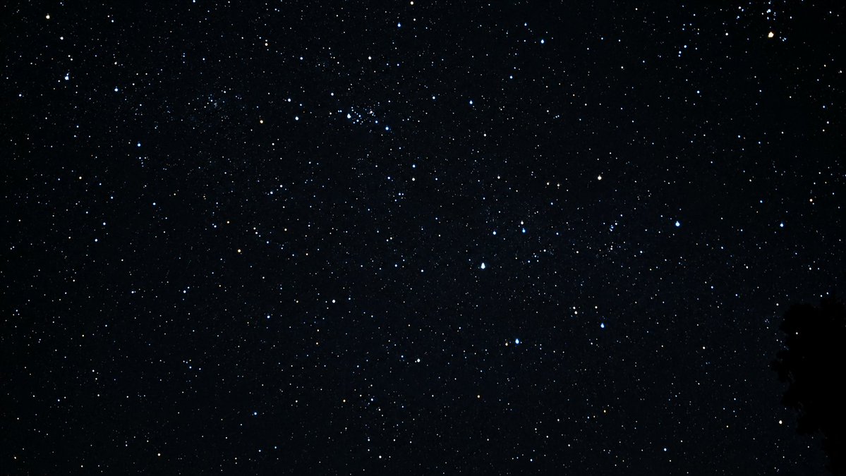 tenko_fish's tweet photo. 満天の星空！✨️ https://t.co/Ofl7U0nApl