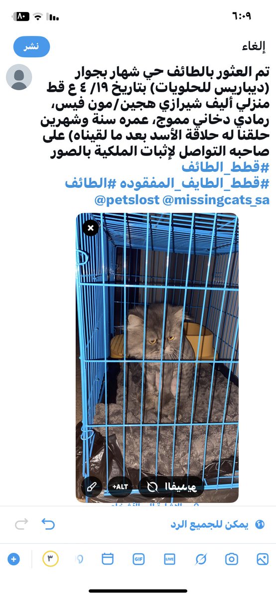 Smaayd2Sma's tweet photo. @cat_taif https://t.co/2q6Q3iaSVz